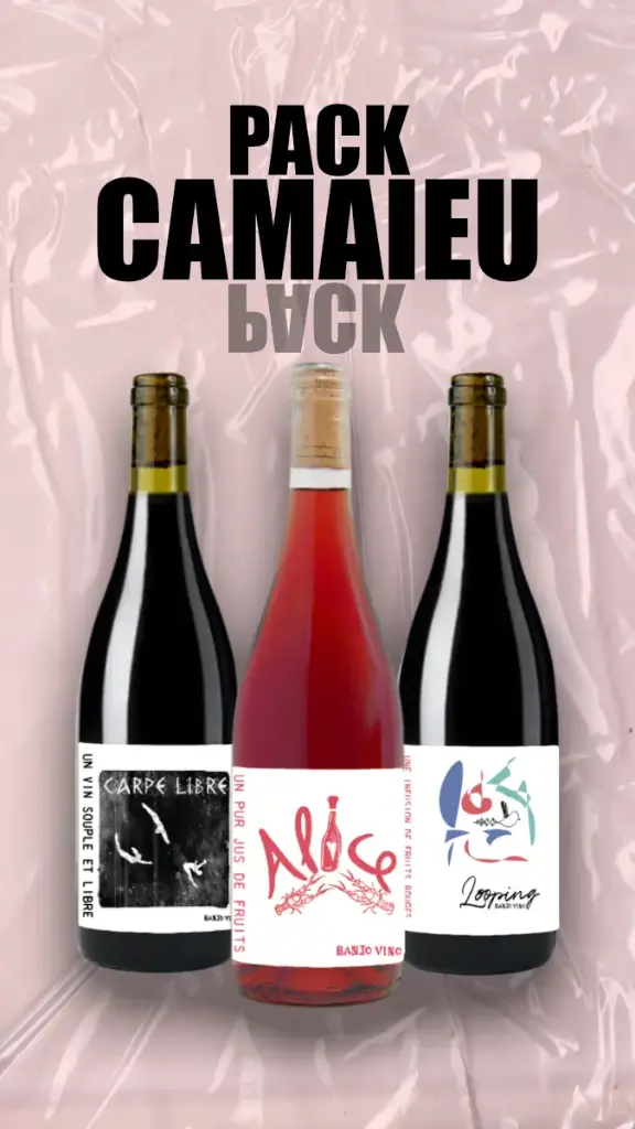 Incontournable pack Camaïeu